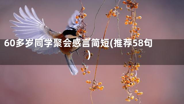 60多岁同学聚会感言简短(推荐58句)