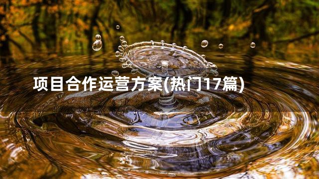 项目合作运营方案(热门17篇)