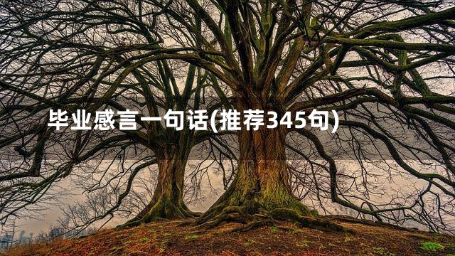 毕业感言一句话(推荐345句)